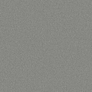 Shaw Floors Carpet Comforting II Storm Cloud 00539_5E750