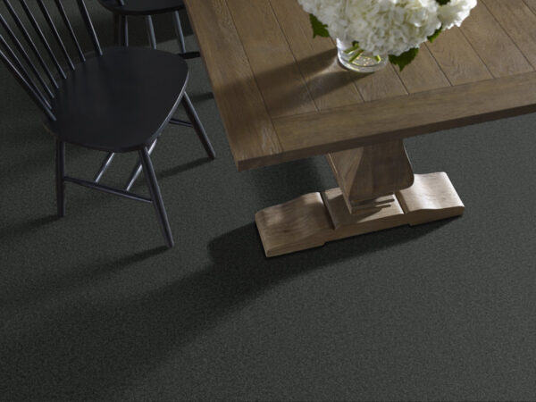Shaw Floors Carpet Comforting II Top Hat 00543_5E750 - Image 2