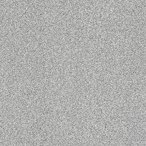 Shaw Floors Carpet Comforting II Foil 00548_5E750