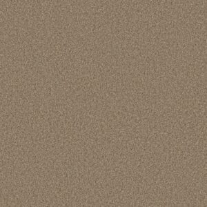 Shaw Floors Carpet Comforting II Studio 00730_5E750