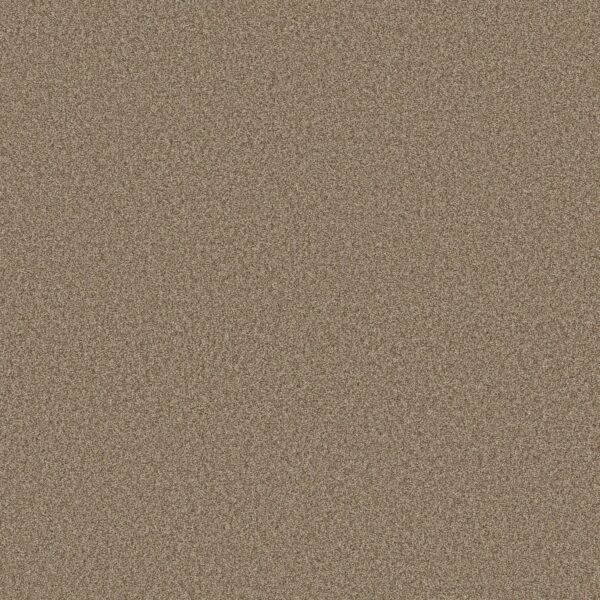 Shaw Floors Carpet Comforting II Studio 00730_5E750