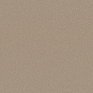Shaw Floors Carpet Comforting II Picket Fence 00731_5E750