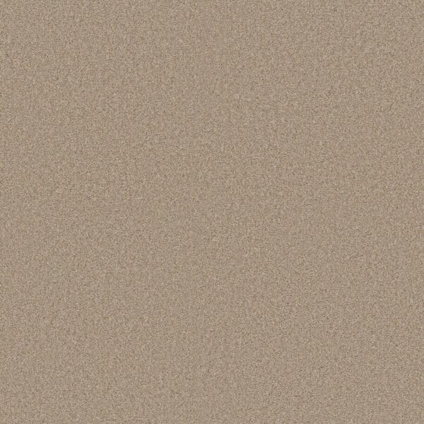 Shaw Floors Carpet Comforting II Picket Fence 00731_5E750