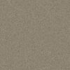 Shaw Floors Carpet Comforting II Boardwalk 00732_5E750