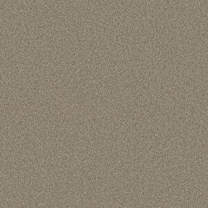 Shaw Floors Carpet Comforting II Boardwalk 00732_5E750