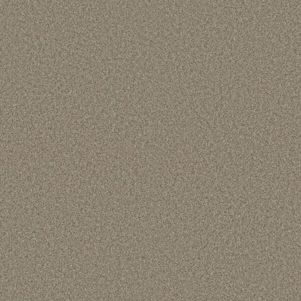 Shaw Floors Carpet Comforting II Boardwalk 00732_5E750