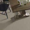 Shaw Floors Carpet Comforting II Boardwalk 00732_5E750 - Image 2