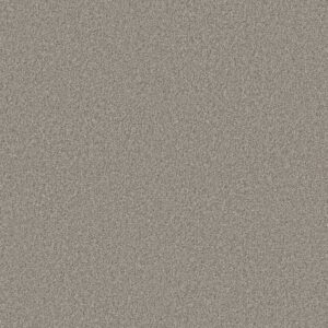 Shaw Floors Carpet Comforting II Rustic 00734_5E750