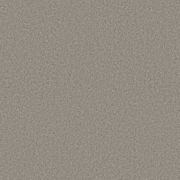 Shaw Floors Carpet Comforting II Rustic 00734_5E750