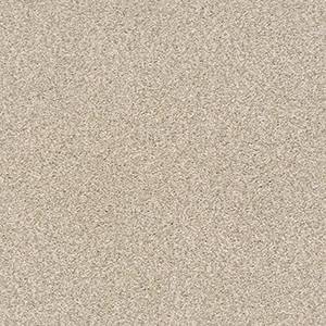 Shaw Floors Carpet Comforting II Wild Rice 00742_5E750