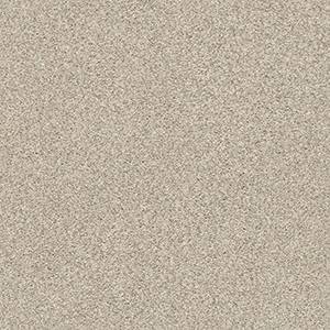 Shaw Floors Carpet Comforting II Shadow 00753_5E750