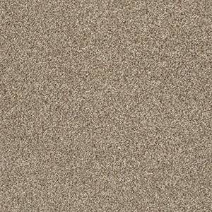 Shaw Floors Carpet Comforting II Riverbank 00759_5E750