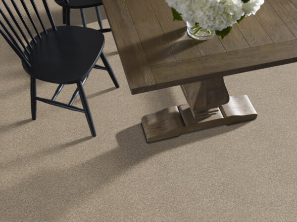Shaw Floors Carpet Comforting II Riverbank 00759_5E750 - Image 2