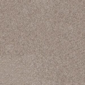 Shaw Floors Carpet Soft Effervescence Folklore 00101_5E783