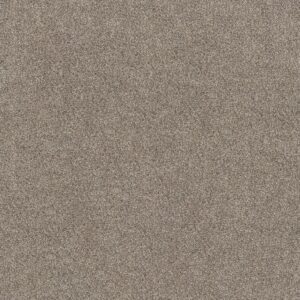 Shaw Floors Carpet Soft Effervescence Nutria 00102_5E783
