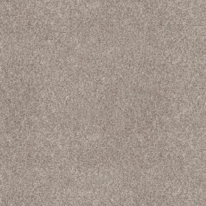 Shaw Floors Carpet Soft Effervescence Daytona Sand 00105_5E783