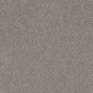 Shaw Floors Carpet Soft Effervescence London Fog 00509_5E783