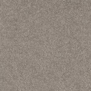 Shaw Floors Carpet Soft Effervescence Overcast 00510_5E783