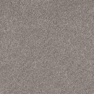 Shaw Floors Carpet Soft Effervescence Oxford 00512_5E783