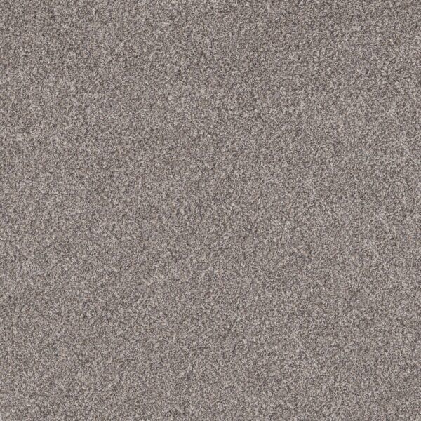 Shaw Floors Carpet Soft Effervescence Oxford 00512_5E783