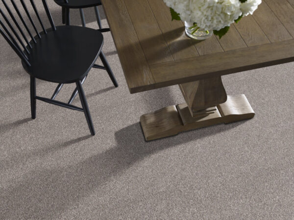 Shaw Floors Carpet Soft Effervescence Oxford 00512_5E783 - Image 2