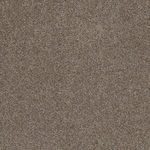 Shaw Floors Carpet Soft Effervescence Mocha Latte' 00705_5E783