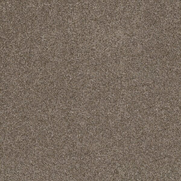 Shaw Floors Carpet Soft Effervescence Mocha Latte' 00705_5E783