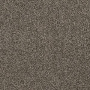 Shaw Floors Carpet Soft Effervescence Tree Bark 00706_5E783