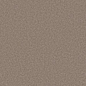 Shaw Floors Carpet Soft Radiance Folklore 00101_5E784