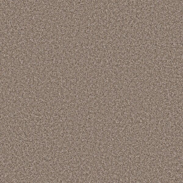 Shaw Floors Carpet Soft Radiance Folklore 00101_5E784