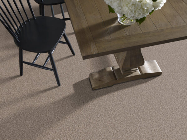 Shaw Floors Carpet Soft Radiance Folklore 00101_5E784 - Image 2