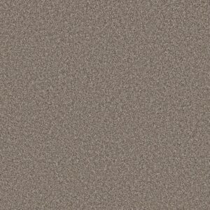 Shaw Floors Carpet Soft Radiance Nutria 00102_5E784