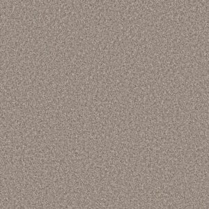Shaw Floors Carpet Soft Radiance Daytona Sand 00105_5E784