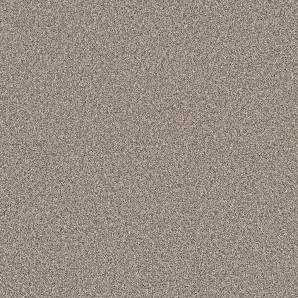 Shaw Floors Carpet Soft Radiance Daytona Sand 00105_5E784