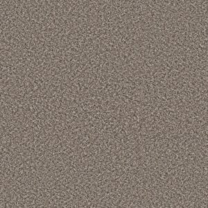 Shaw Floors Carpet Soft Radiance Mushroom 00111_5E784