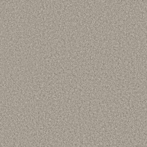 Shaw Floors Carpet Soft Radiance Dawn Beige 00115_5E784