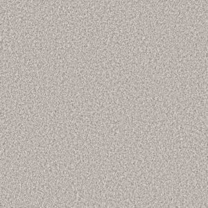 Shaw Floors Carpet Soft Radiance Thin Ice 00507_5E784