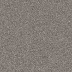 Shaw Floors Carpet Soft Radiance London Fog 00509_5E784