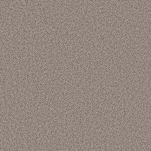 Shaw Floors Carpet Soft Radiance Overcast 00510_5E784