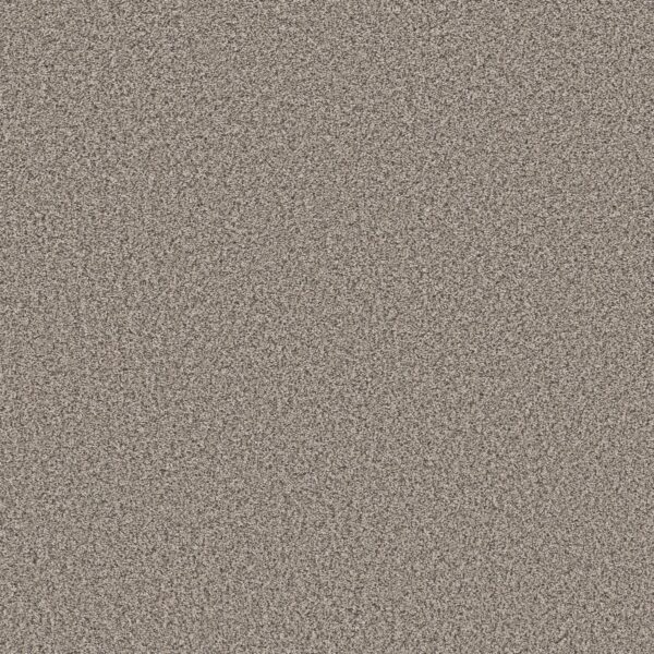 Shaw Floors Carpet Soft Radiance Overcast 00510_5E784