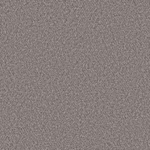 Shaw Floors Carpet Soft Radiance Oxford 00512_5E784