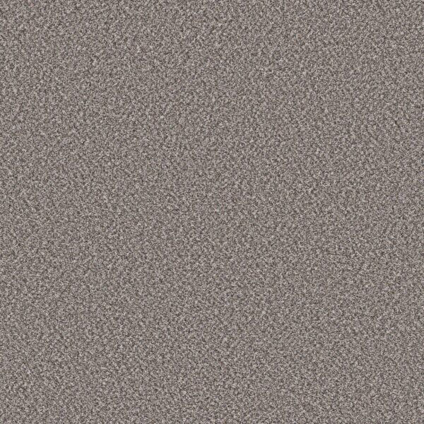Shaw Floors Carpet Soft Radiance Oxford 00512_5E784