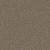 Shaw Floors Carpet Soft Radiance Mocha Latte' 00705_5E784