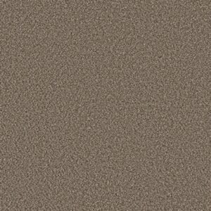 Shaw Floors Carpet Soft Radiance Mocha Latte' 00705_5E784