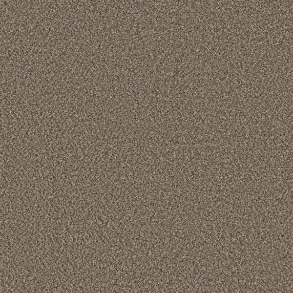 Shaw Floors Carpet Soft Radiance Mocha Latte' 00705_5E784