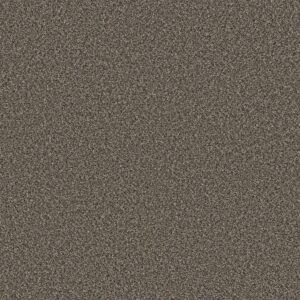 Shaw Floors Carpet Soft Radiance Tree Bark 00706_5E784