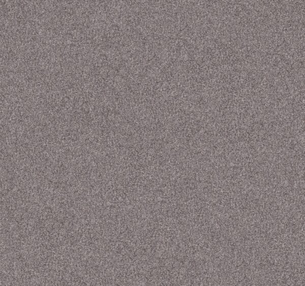 Shaw Floors Carpet Inlet Shore 1 15' Overcast 58500_5E789