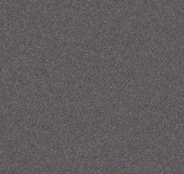Shaw Floors Carpet Inlet Shore 1 15' Rod Iron 58502_5E789