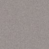 Shaw Floors Carpet Inlet Shore 1 15' Brushed Nickel 58508_5E789