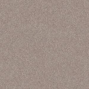 Shaw Floors Carpet Inlet Shore II 15' Pale Ecru 58109_5E791